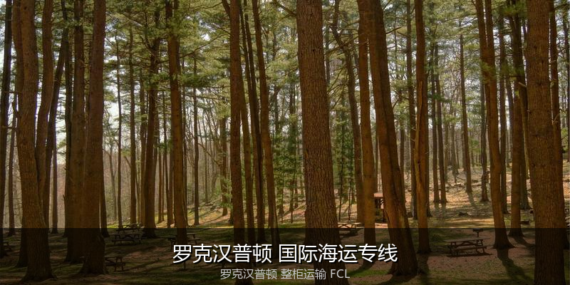 澳大利亚海运清关流程与合规注意事项